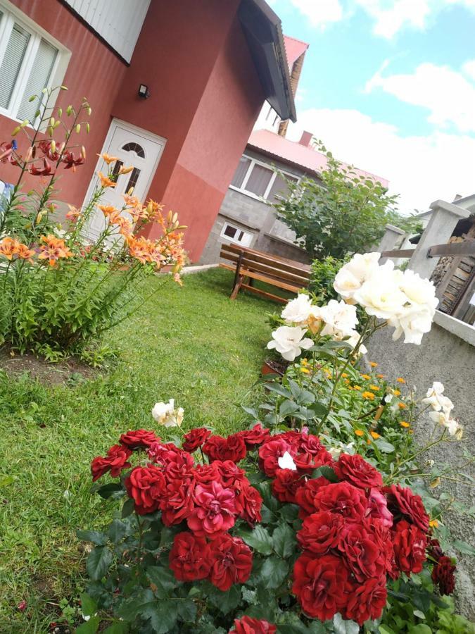 Apartments Bozovic Žabljak Eksteriør bilde