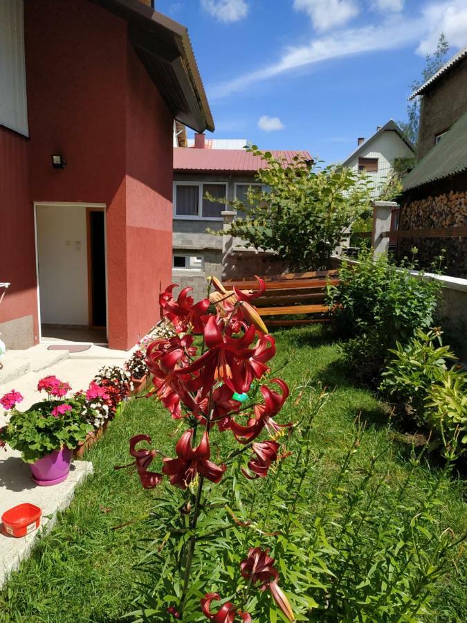 Apartments Bozovic Žabljak Eksteriør bilde